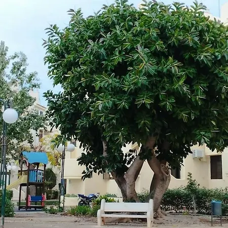 Apartment 2 In Costa Blanka *